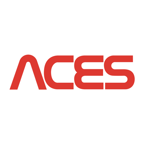 Aces Heavy T-shirt